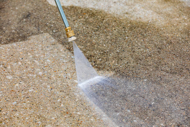 Animal Enclosure Cleaning in Allendale, CA